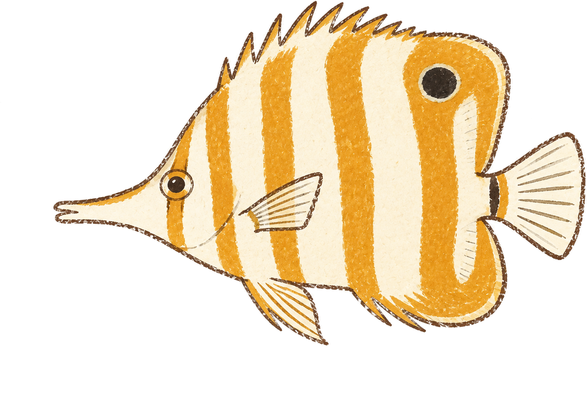 Copperband butterflyfish, original illustration