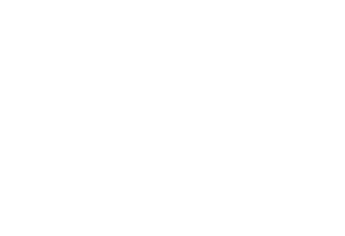 Hawksbill turtle, original illustration