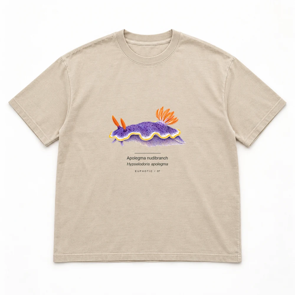 Apolegma nudibranch Reef Plates tee in Washed sand