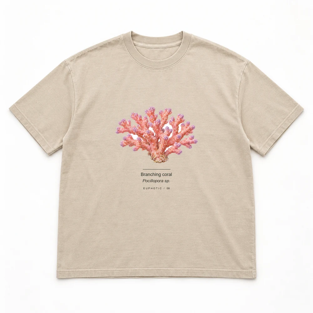 Branching coral Reef Plates tee in Washed sand