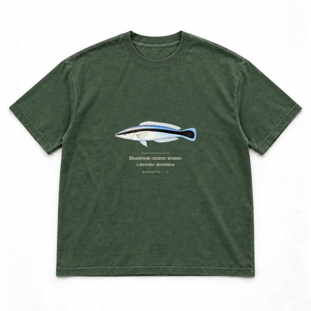Bluestreak cleaner wrasse, Forest green tee