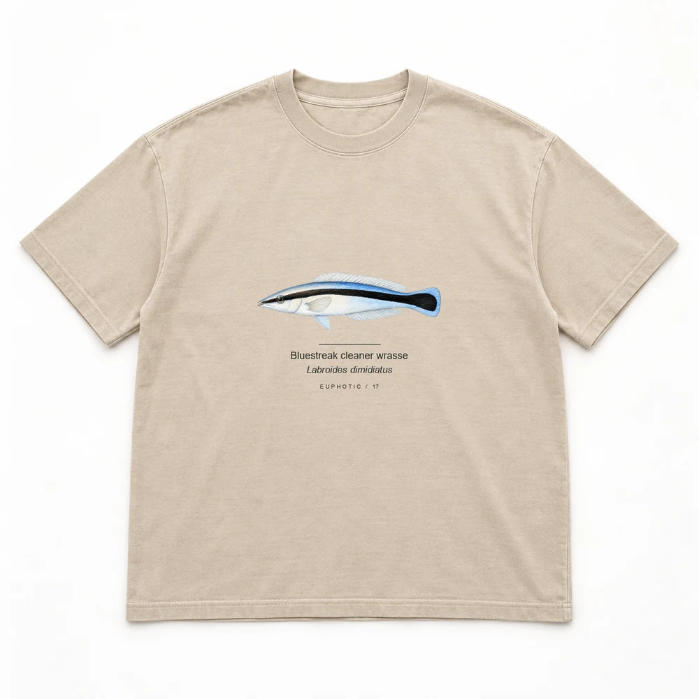 Bluestreak cleaner wrasse Reef Plates tee in Washed sand
