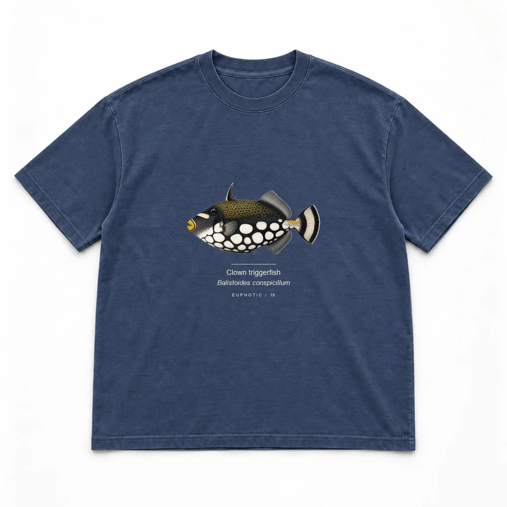Clown triggerfish, Navy tee