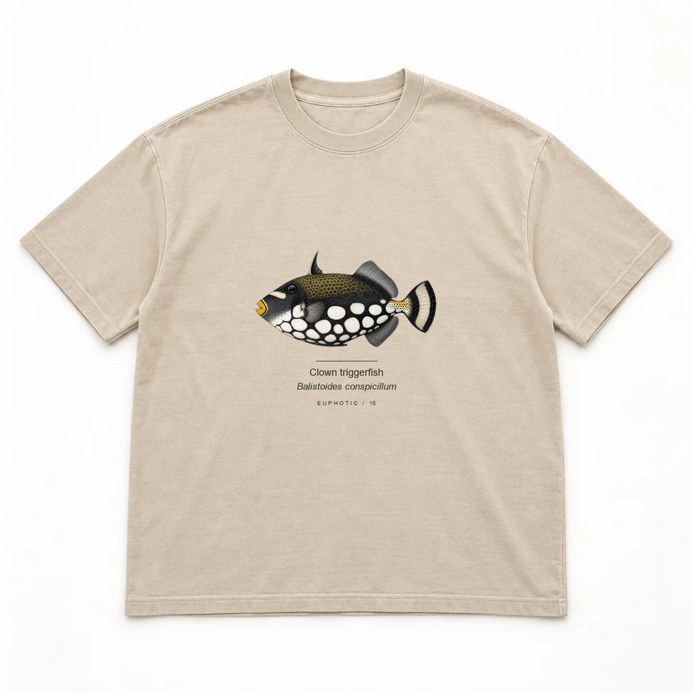 Clown triggerfish Reef Plates tee in Washed sand