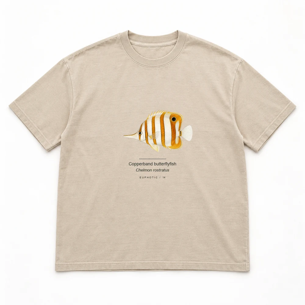 Copperband butterflyfish Reef Plates tee in Washed sand