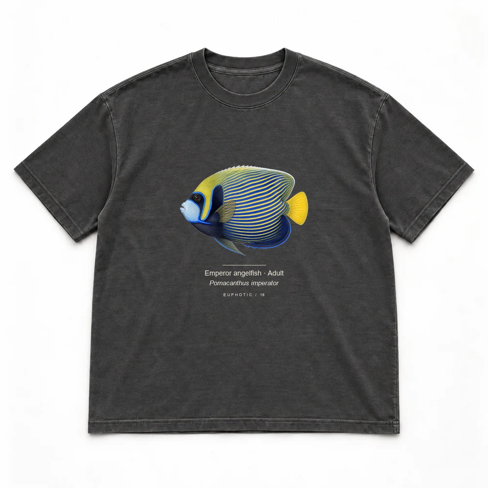 Emperor angelfish · Adult, Washed black tee