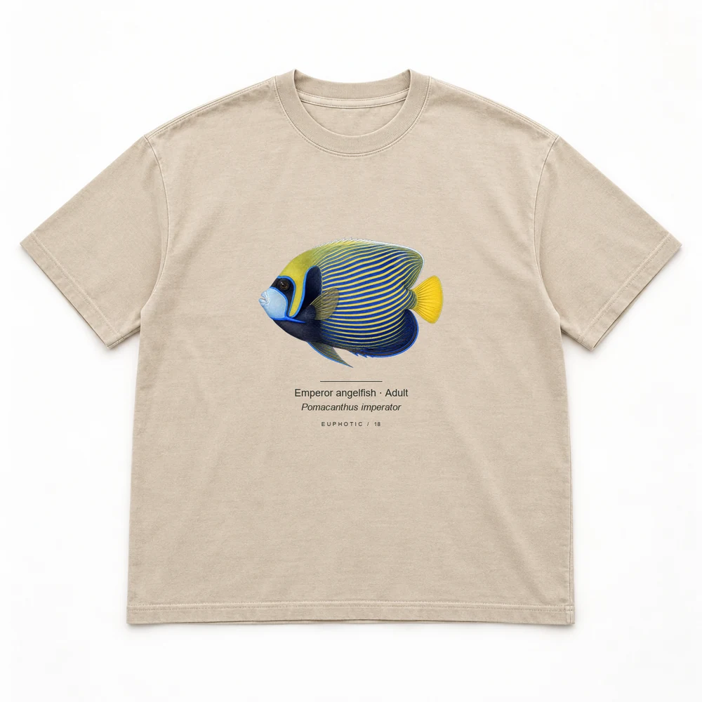 Emperor angelfish · Adult Reef Plates tee in Washed sand