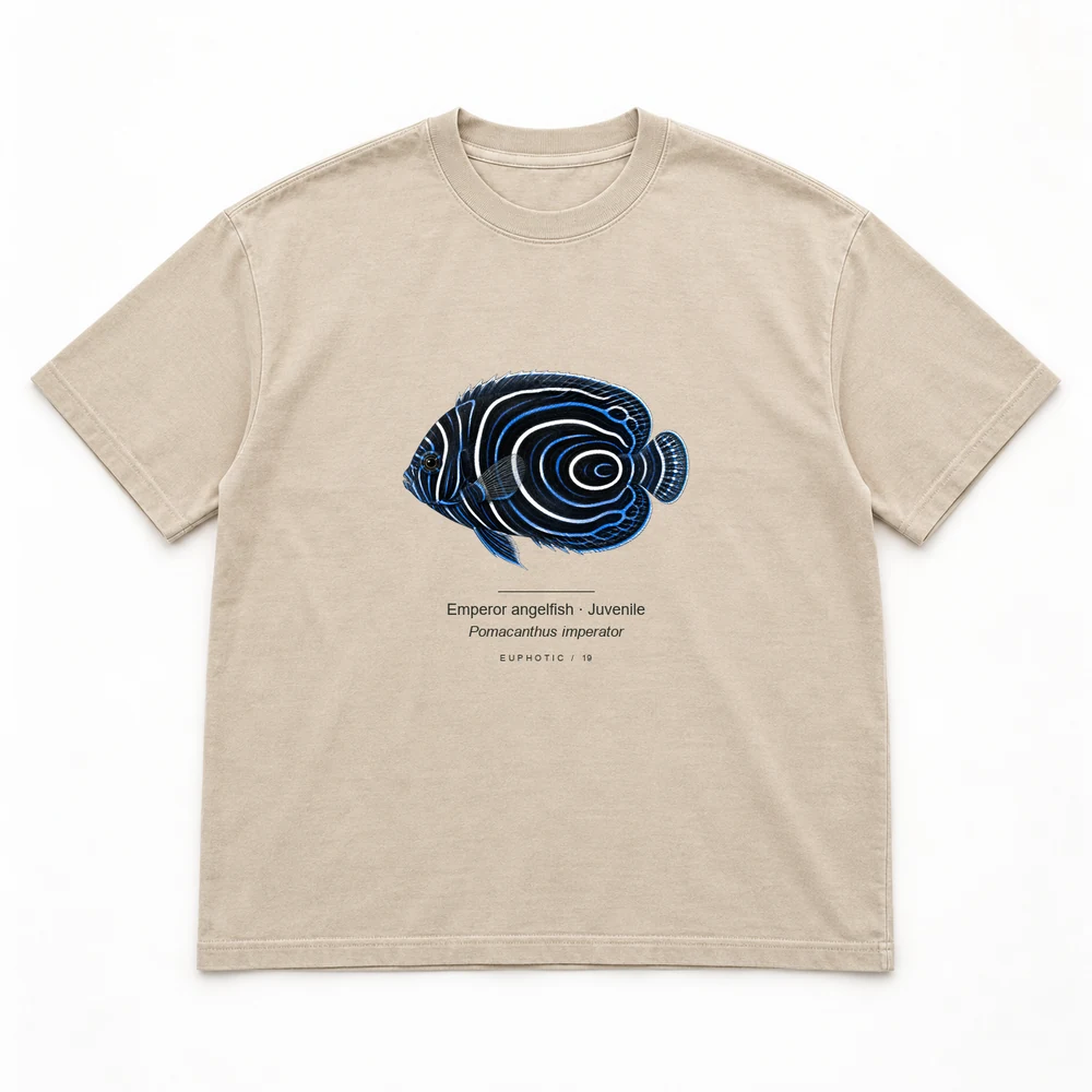 Emperor angelfish · Juvenile Reef Plates tee in Washed sand