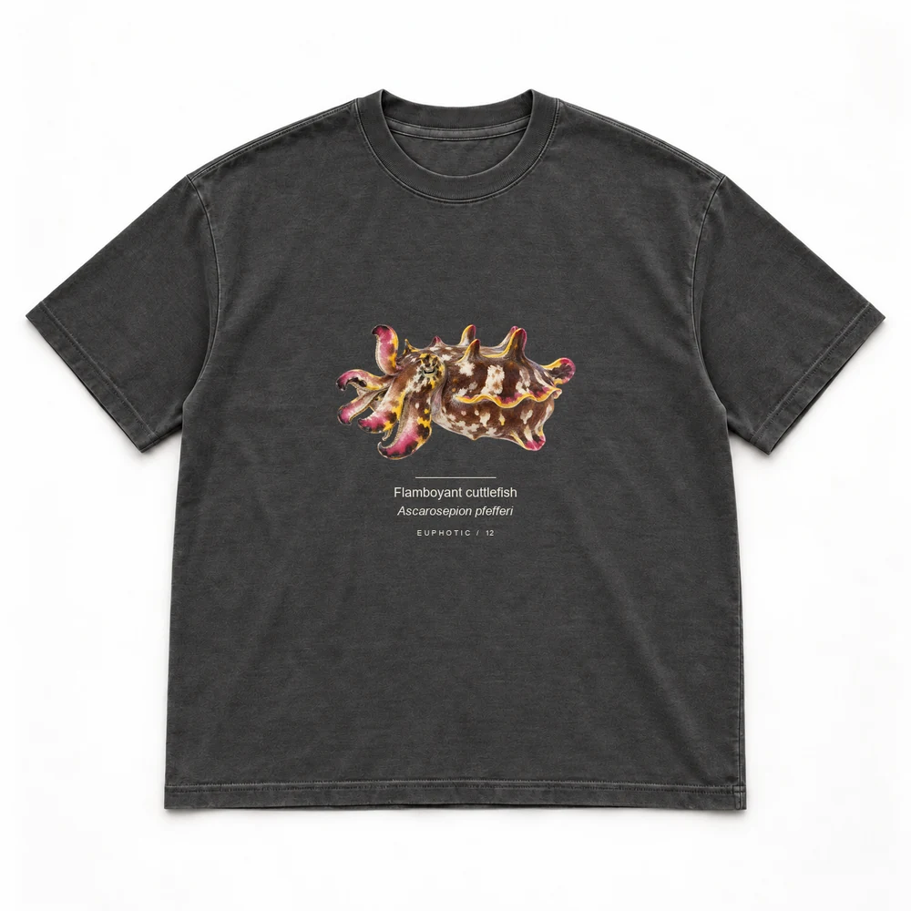 Flamboyant cuttlefish, Washed black tee