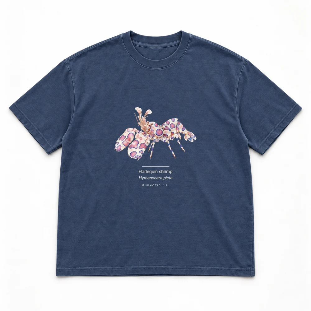 Harlequin shrimp, Navy tee