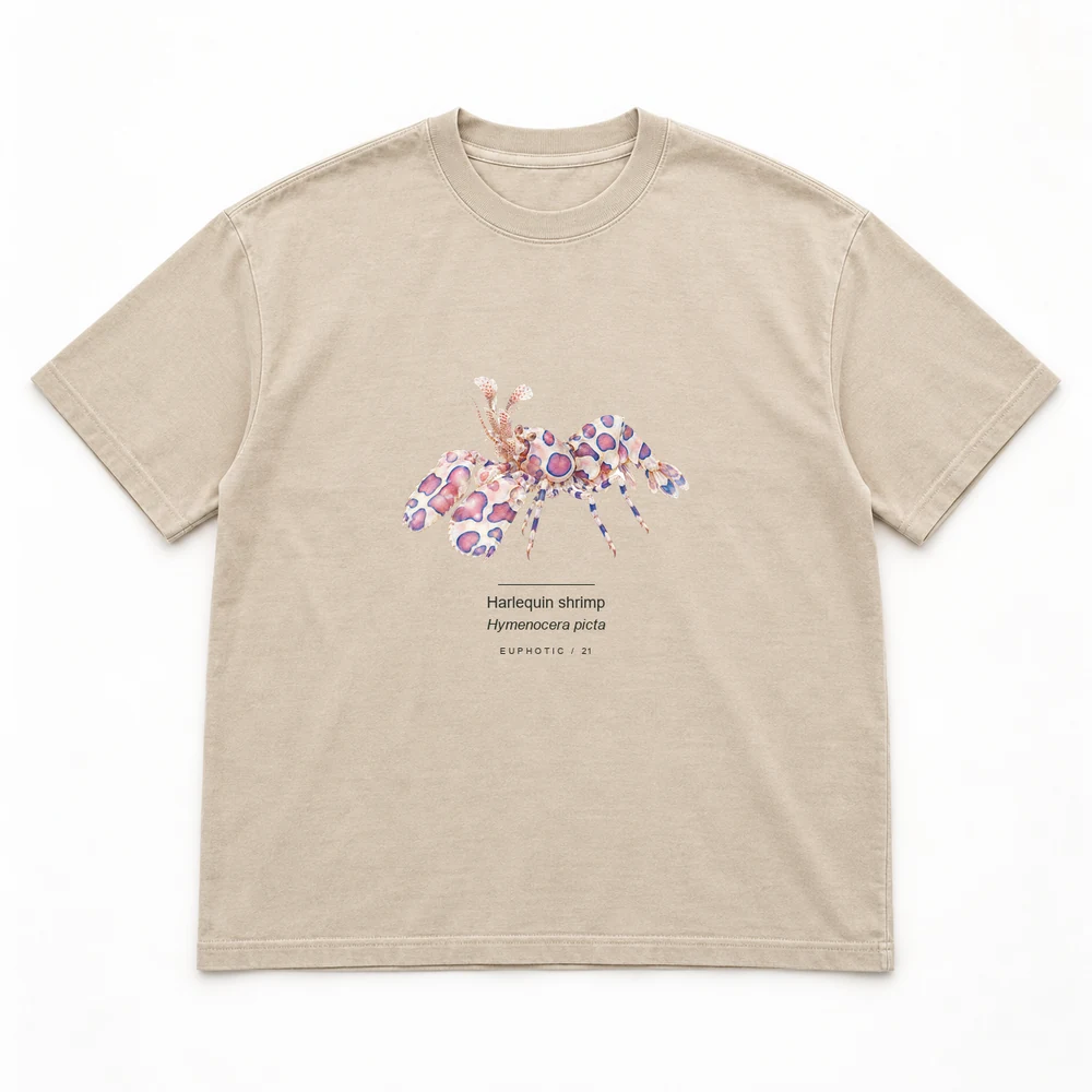 Harlequin shrimp Reef Plates tee in Washed sand