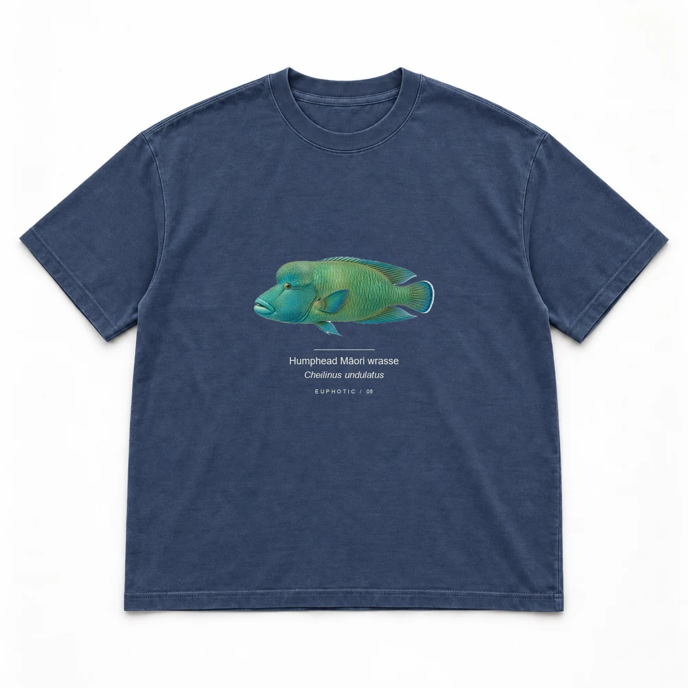 Humphead Māori wrasse, Navy tee