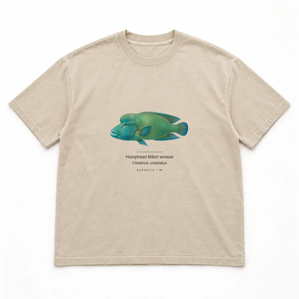 Humphead Māori wrasse Reef Plates tee in Washed sand