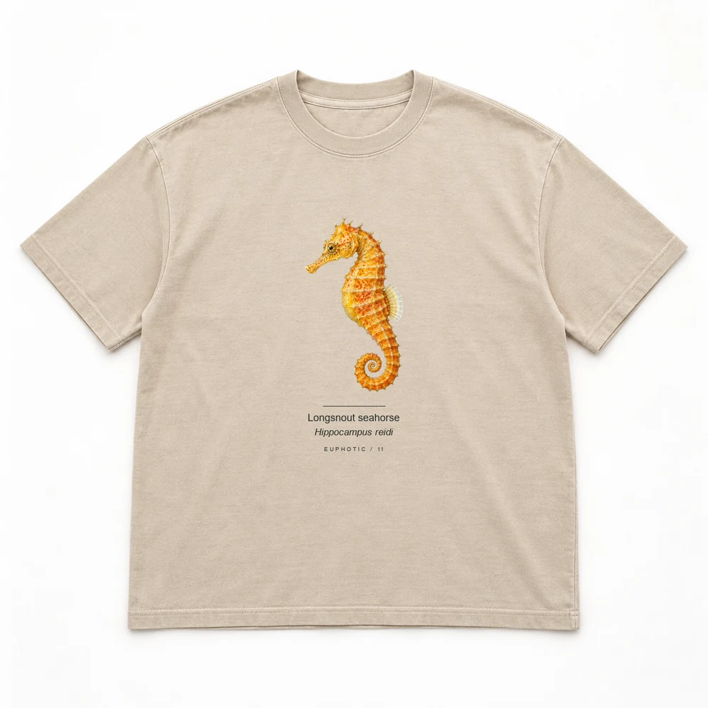 Longsnout seahorse Reef Plates tee in Washed sand
