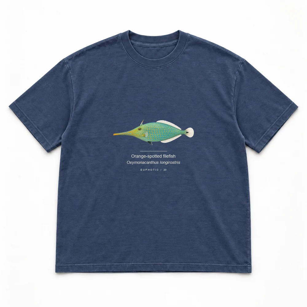 Orange-spotted filefish, Navy tee