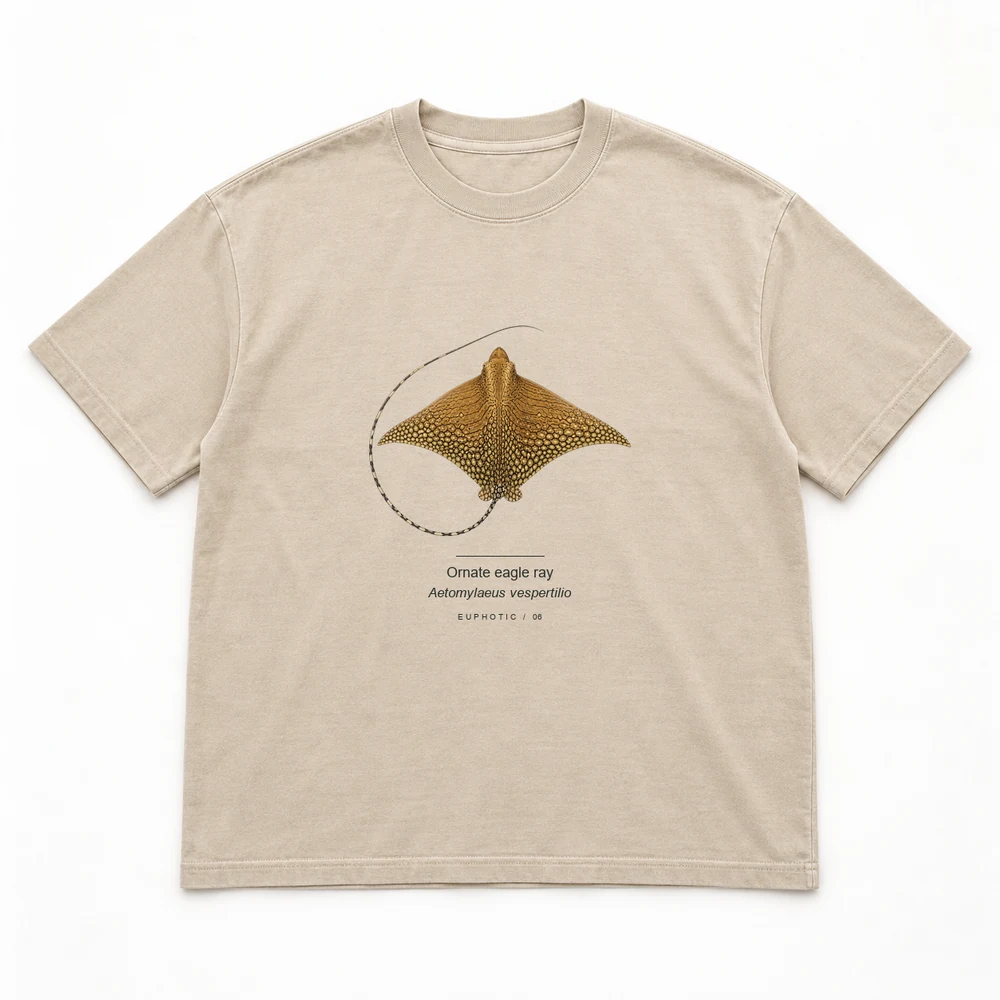 Reef Plates collection tee