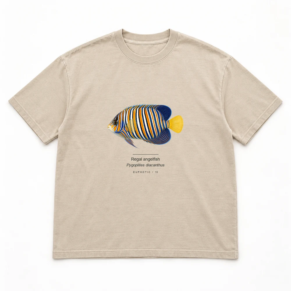Regal angelfish Reef Plates tee in Washed sand