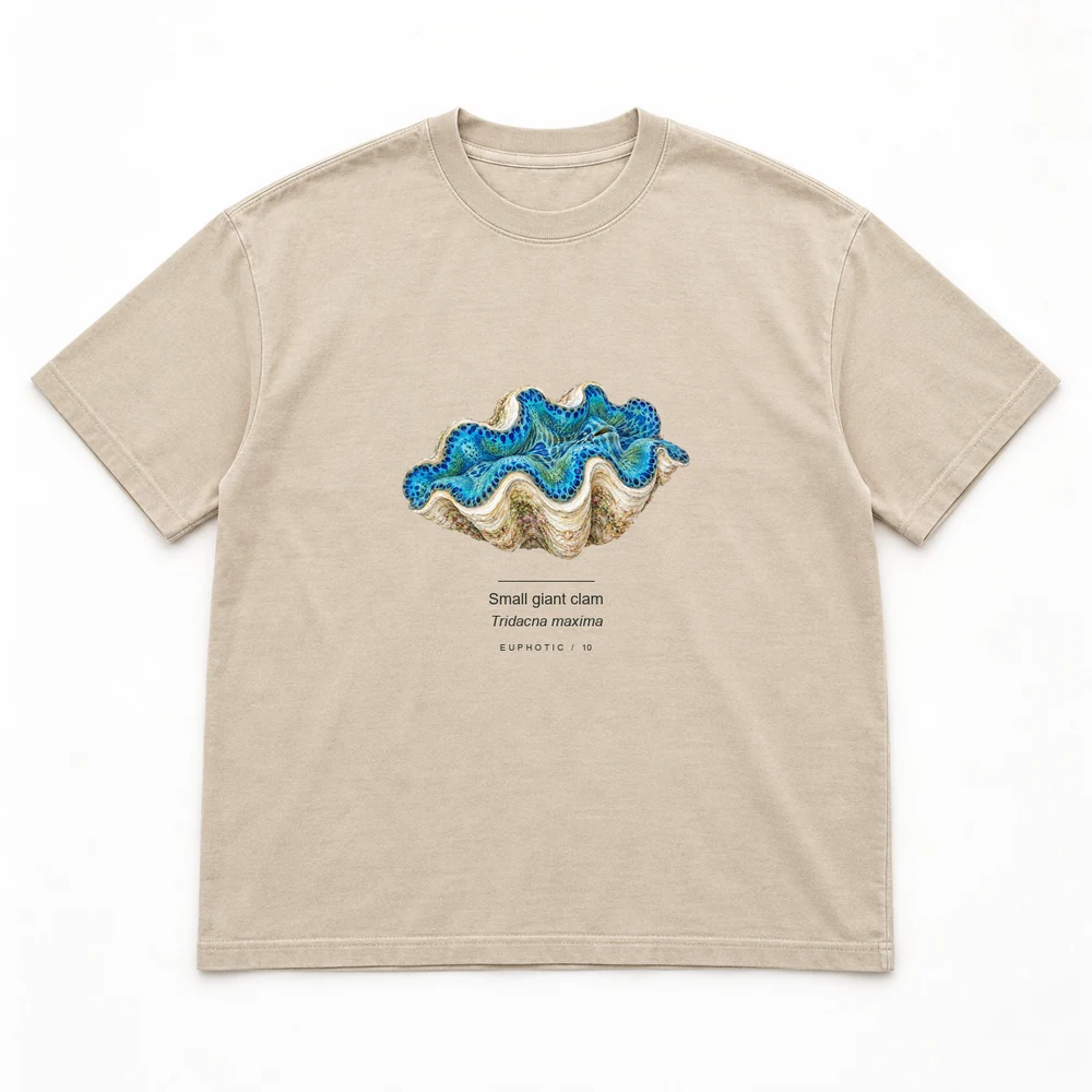 Small giant clam Reef Plates tee in Washed sand